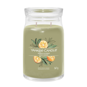Yankee Candle Słoik Duży 2 Knoty Sage & Citrus Yankee Candle Słoik Duży 2 Knoty Sage & Citrus